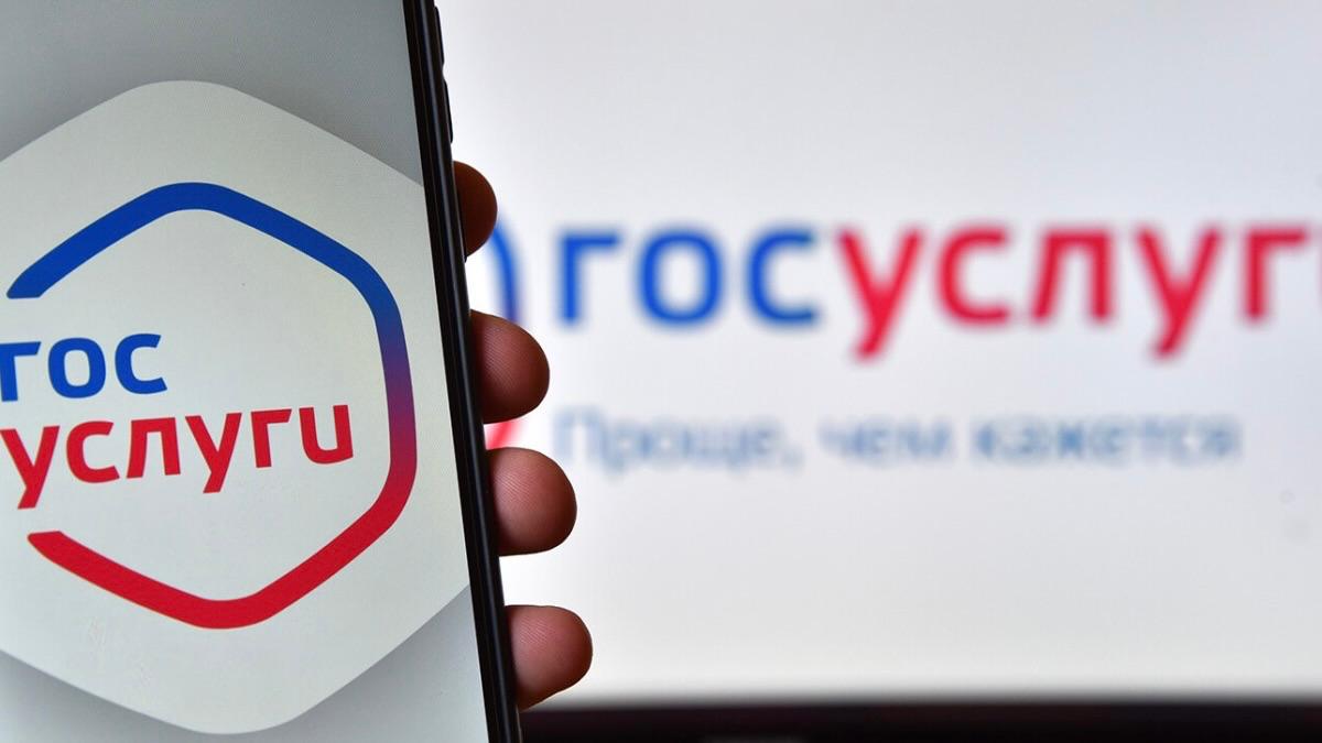 Григорий Прохватилов: Запорожская область уверенно движется в цифровое будущее, и это видно по активности наших жителей