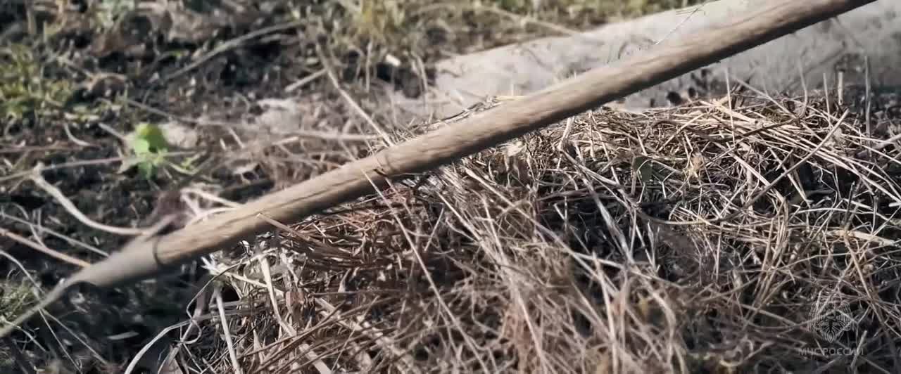 Защити свой дом и природу от пожара