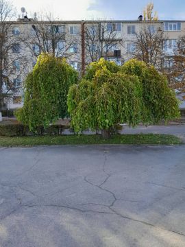 С добрым утром, с наступившим днём!