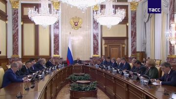 Правительство РФ расширяет поддержку участников СВО и семей с детьми в проекте бюджета