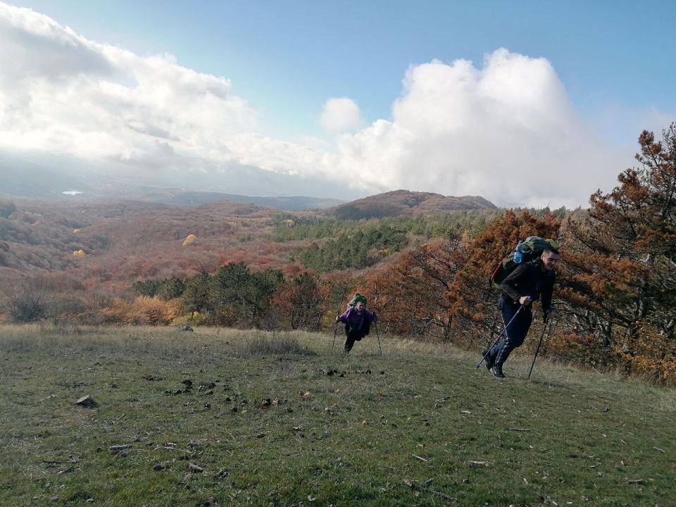 �� �������� ��� ��������� ������ ������