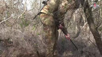 Минобороны России: Саперы Новороссийского горного соединения ВДВ обезвреживают и уничтожают мины и взрывоопасные предметы противника в Запорожской области