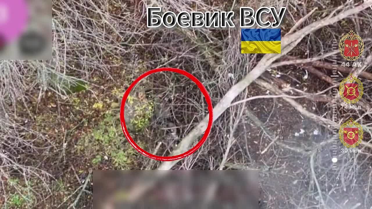 Расчет БпЛА 30 мсп 44 Армейского корпуса ликвидировал боевика ВСУ, пытавшегося укрыться в лесопосадке