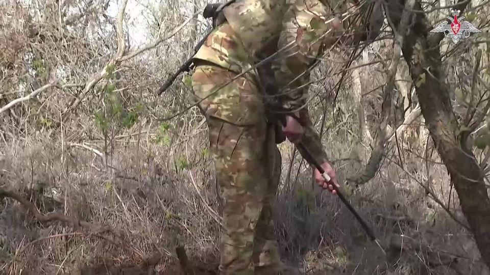 Минобороны России: Саперы Новороссийского горного соединения ВДВ обезвреживают и уничтожают мины и взрывоопасные предметы противника в Запорожской области