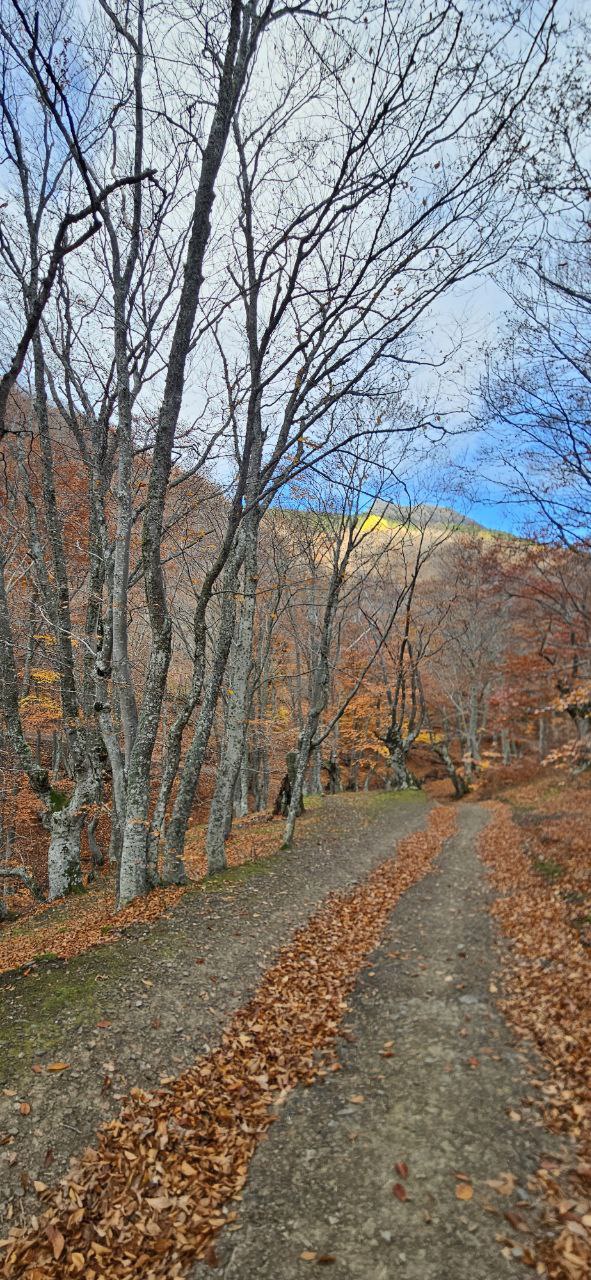 Из Крымских гор вернулась первая группа Из Крымских гор вернулась первая группа