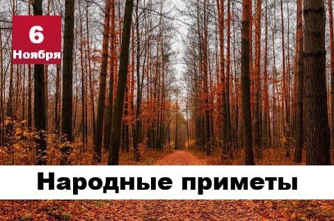 Сегодня 6 ноября 2025 года, четверг – отмечается 12 праздников Сегодня 6 ноября 2025 года, четверг – отмечается 12 праздников