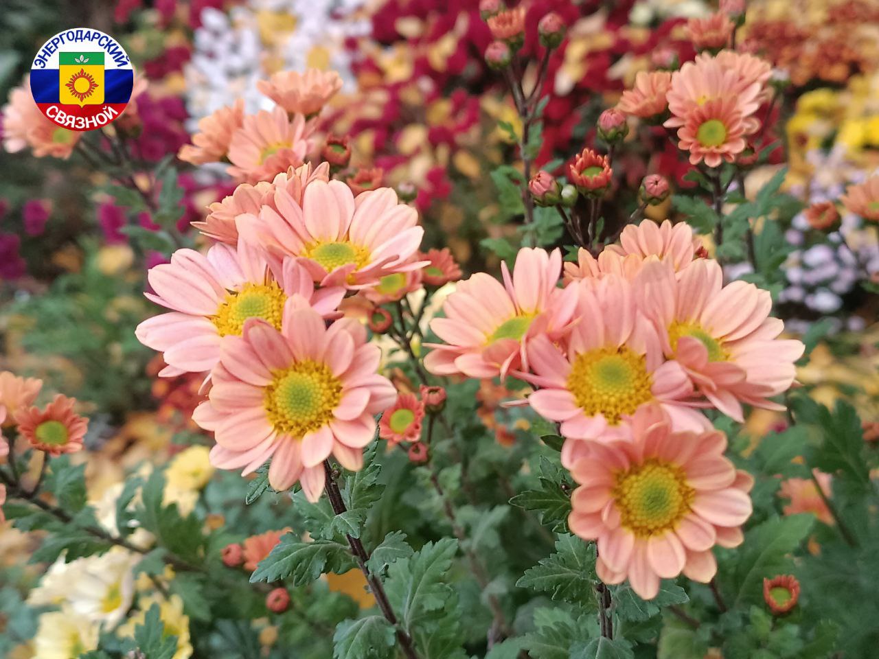 Доброе утро! Пусть сегодня в вашей жизни будет столько радости и спокойствия, сколько праздников умещается в одном дне