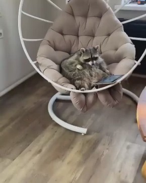 Доброе утро, друзья! Хорошего вам дня и отличного настроения!