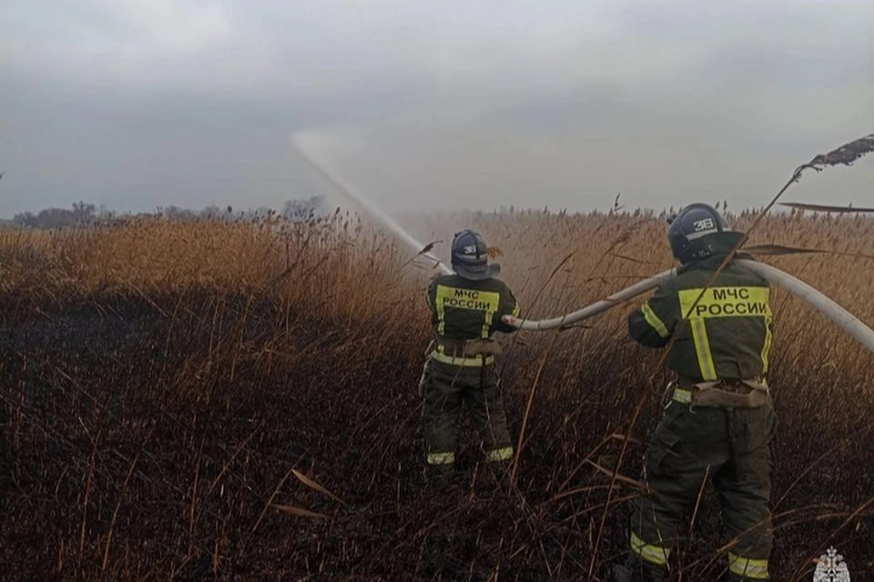 В Запорожской области за сутки потушили один пожар