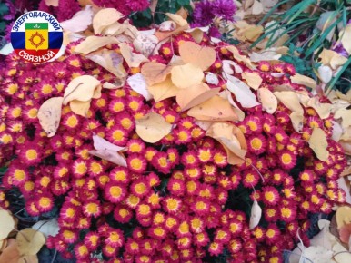 Прохладным осенним днём 7 ноября 1917 года открылась новая эпоха истории нашей страны