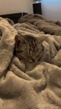 Вот и закончилась короткая рабочая неделя