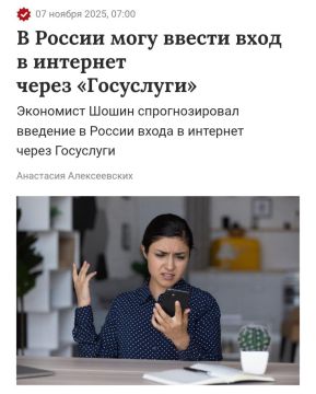 Доступ в интернет только через Госуслуги сделают в России