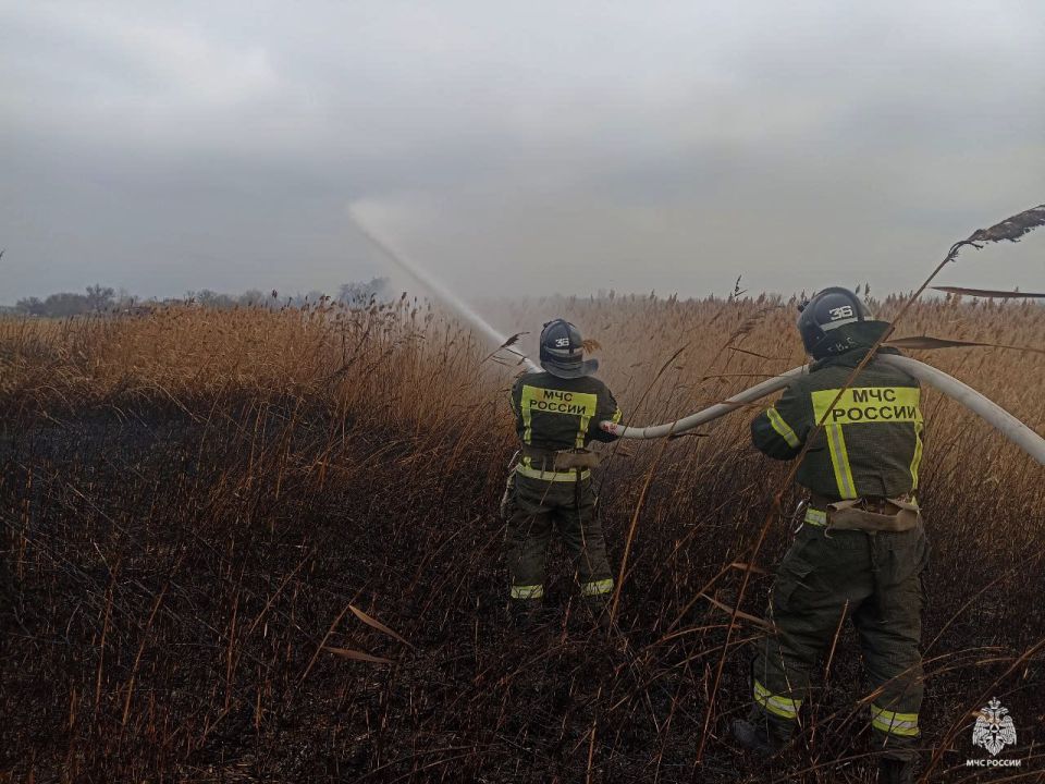 Оперативная информация за сутки