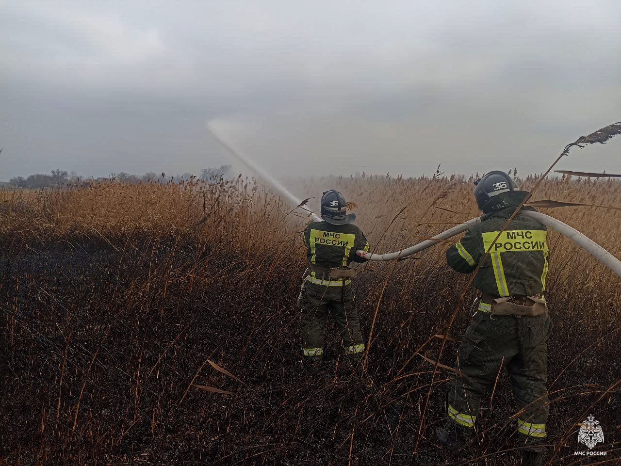 Оперативная информация за сутки