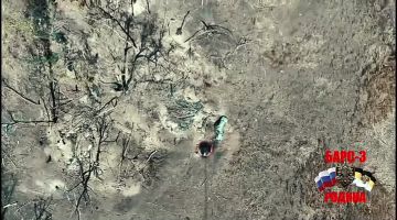 Дроноводы БАРС-3 продолжают кошмарить врага и уничтожать его позиции на Запорожском направлении