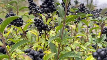 Доброе утро! Всё большое начинается с малого…