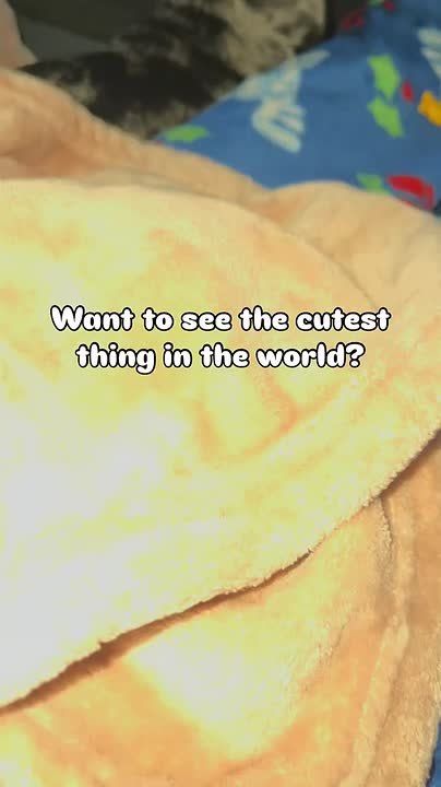 Доброй ночи, дорогие подписчики! Доброй ночи, Запорожье!