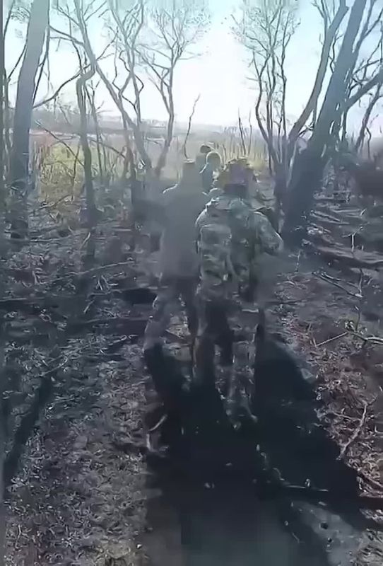 ���� ��������: ������������� ���������: �����������, ������� ����������� ���