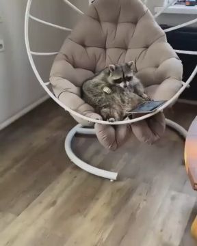 Доброе утро, друзья! Хорошего вам дня и отличного настроения!