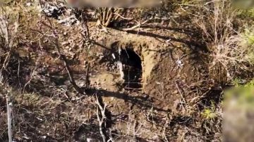 Расчеты ударных БПЛА группировки войск «Восток» нанесли удары по позициям ВФУ в Запорожской области