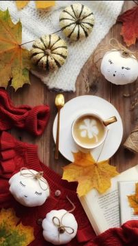 7 ноября 2025 года