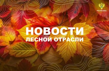 AK&M: Рослесхоз: с начала года специалисты рассмотрели 97% обращений граждан