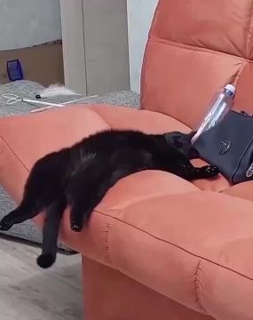 Проснулись — потянулись, и спешим на работу