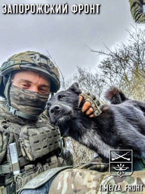 Всем бодрого утра с Запорожского направления