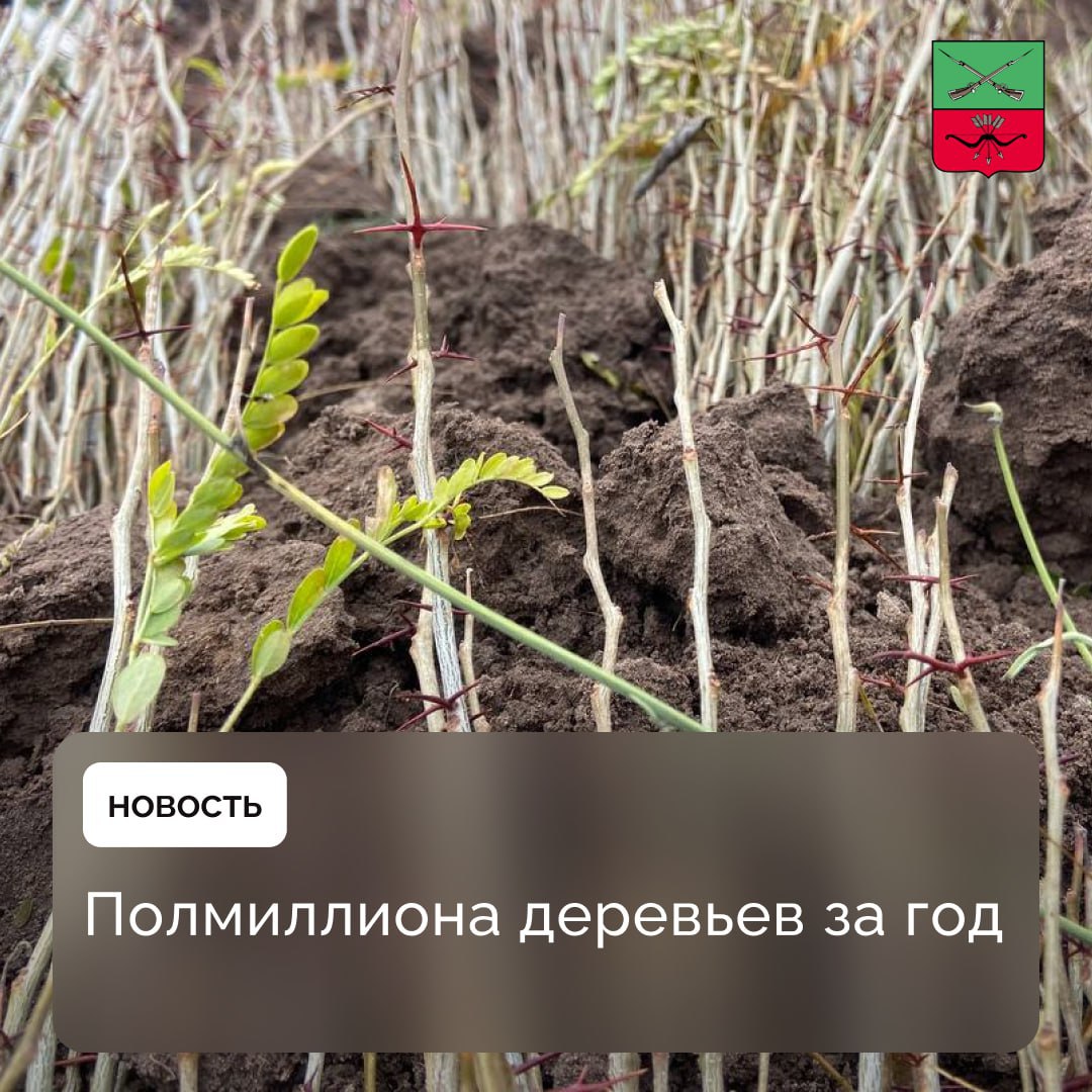 В Запорожской области растет площадь зеленых насаждений