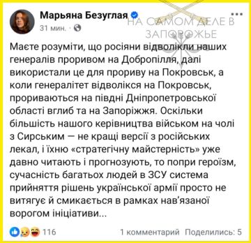 Россияне отвлекли ВСУ под Добропольем и Покровском, чтобы прорваться в Запорожье, – нардеп Марьяна Безуглая
