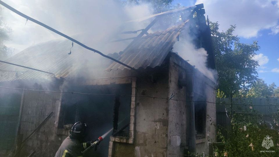 Оперативная информация за сутки