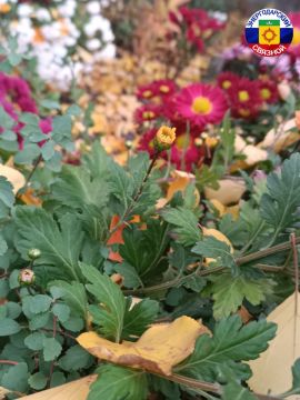 Доброе утро!. 8 ноября мы отмечаем чудесный праздник – День исполнения желаний