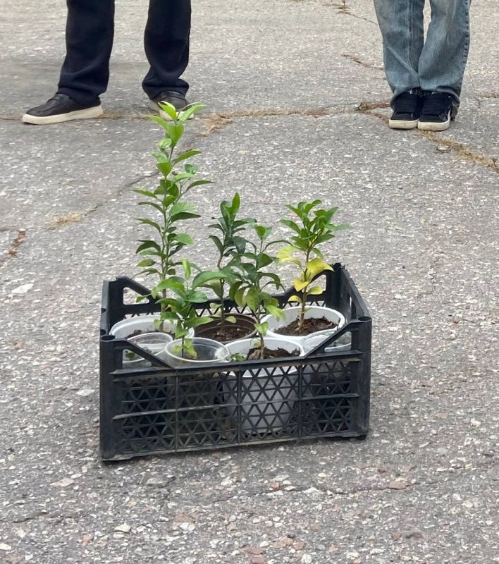 �������������� ������ ������ ����� ��� ���� ��������