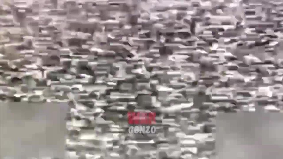 WarGonzo: Группа «Немца» тревожит «немцев» на Запорожье