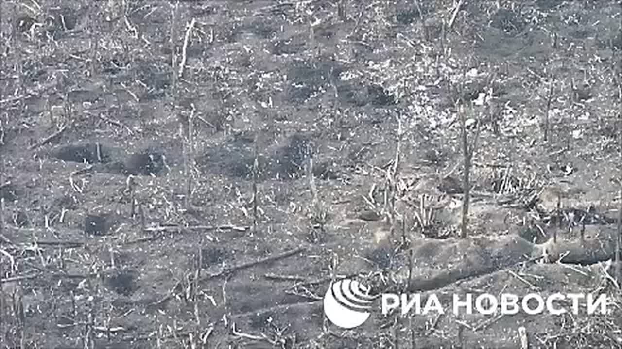 Втроем разведчики 25-й армии группировки «Запад» уничтожили опорный пункт ВСУ в боях за Серебрянское лесничество