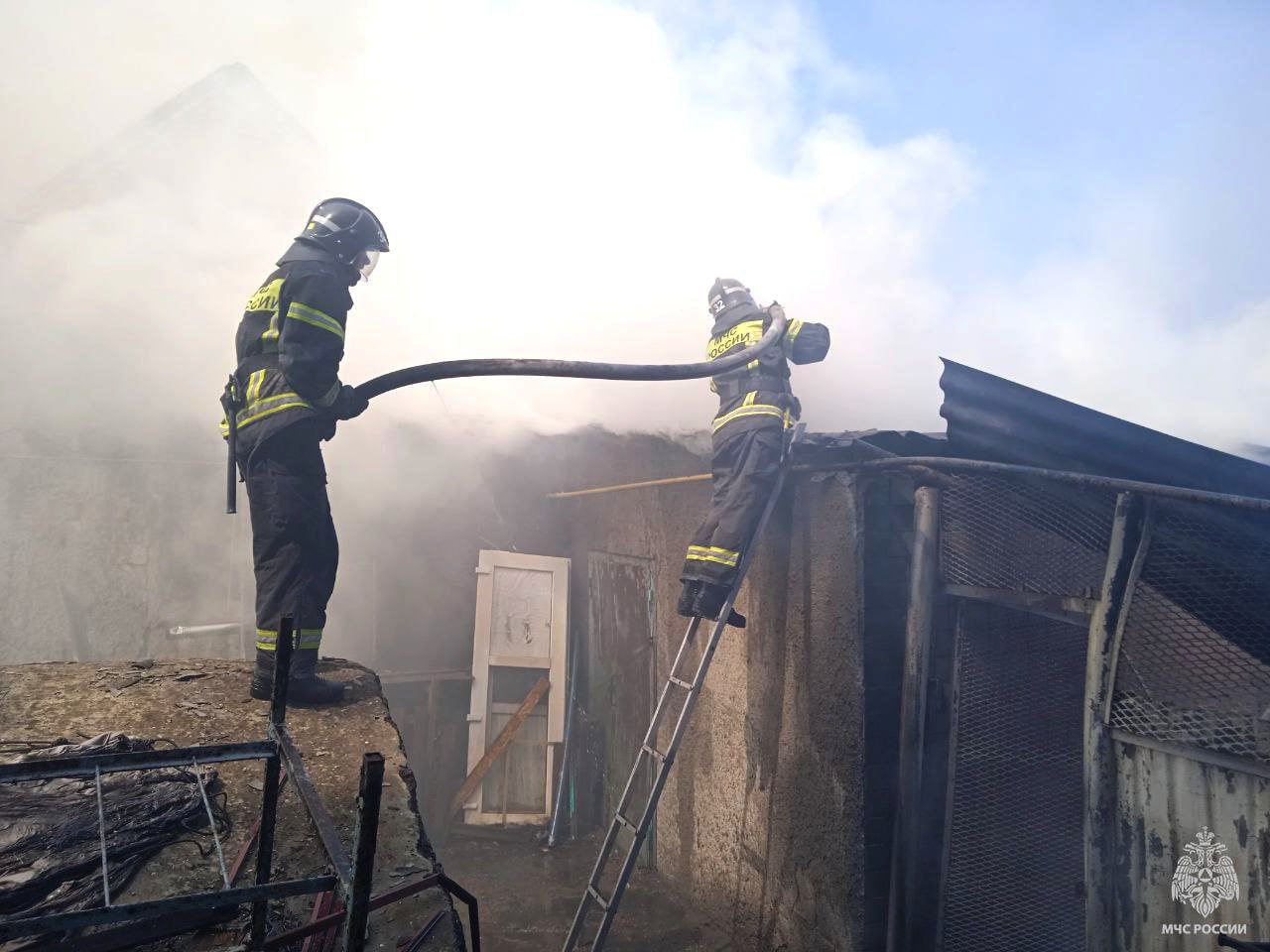 Оперативная информация за сутки