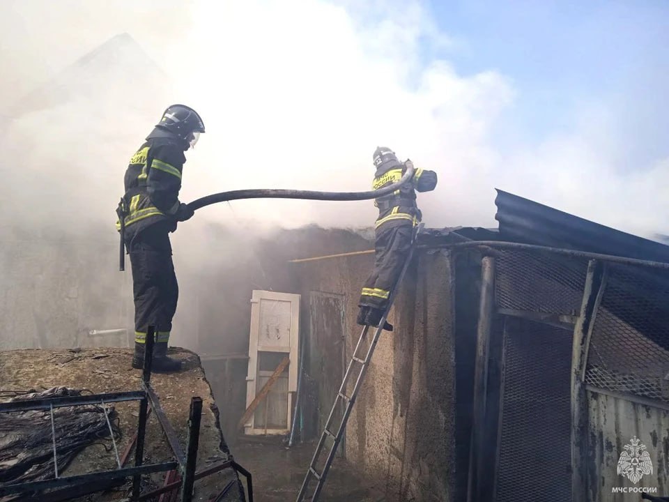 В Запорожской области ликвидировали пять пожаров и ДТП с пострадавшим 8 ноября