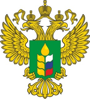 fsvps.gov.ru/news/ob-oc