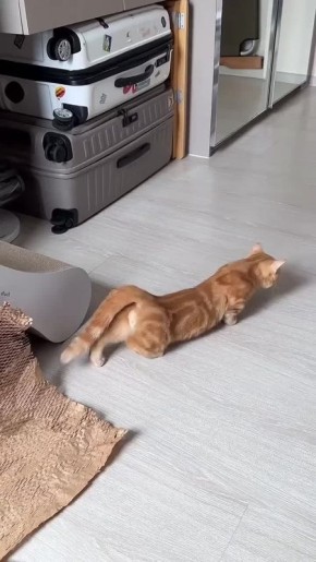 Медленно и уверенно начинаем день