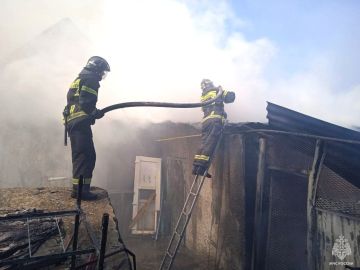 Оперативная информация за сутки