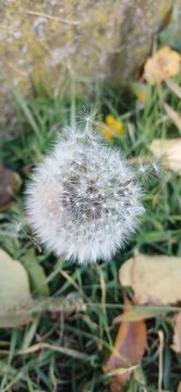   ,   ,     ,   ,        ,     ,  ,    ...