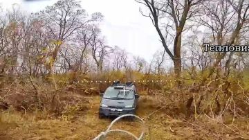   -       14      5    ""       