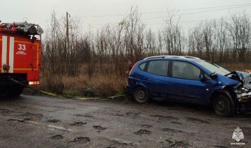 ДТП в Каменско-Днепровском муниципальном округе