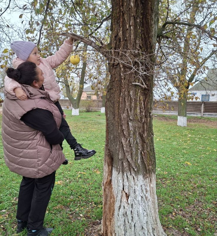 ������� ����� �� ������ ������� - ��� ����� ������� � ���������� ���� �������� ������ ������������� ����� � ����������� ���!