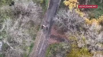 Наши бойцы водрузили российский флаг над центральной частью Новоуспеновского в Запорожской области