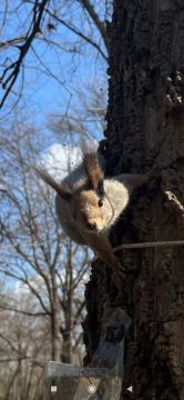 Иногда вторник — это просто обычный день, наполненный обычными вещами, но в то же время хороший вторник из-за маленьких моментов доброты, любви и благодарности, разбросанных в течение дня