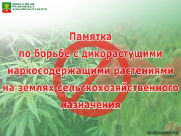 Памятка по борьбе с дикорастущими наркосодержащими растениями на землях сельскохозяйственного назначения