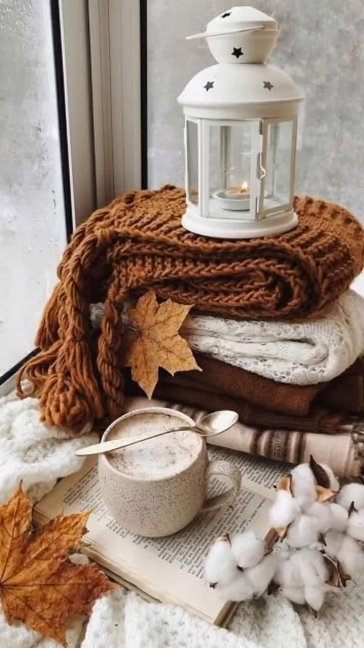 12 ноября 2025 года