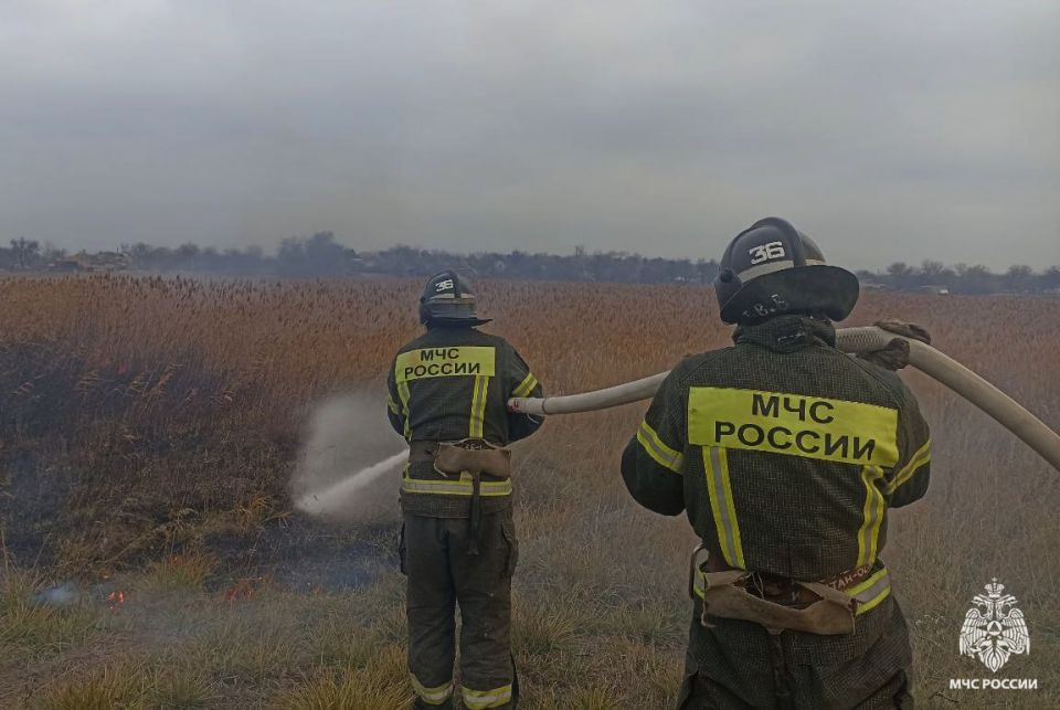 Оперативная информация за сутки