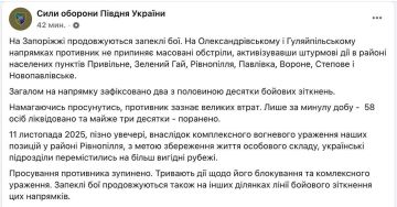 Юрий Котенок: Бандеровское командование признало продвижение Русской Армии на Гуляйпольском направлении